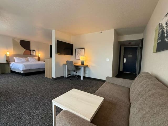 Room, 1 King Bed with Sofa bed