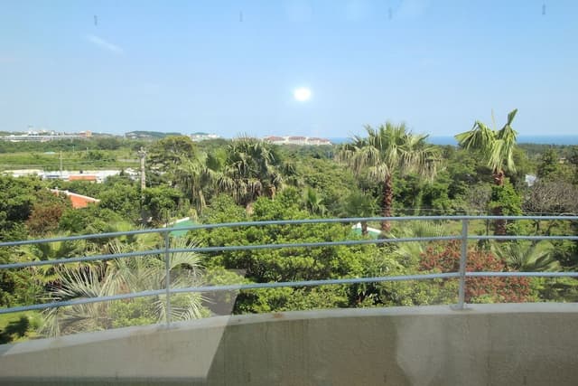 Deluxe Double Room, Ocean View (17 PY)