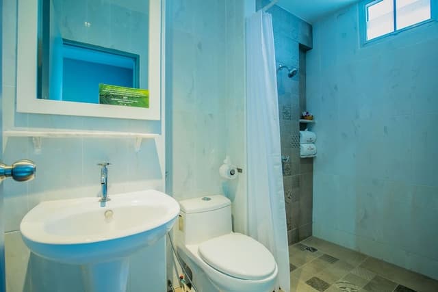 Superior King or Twin Room