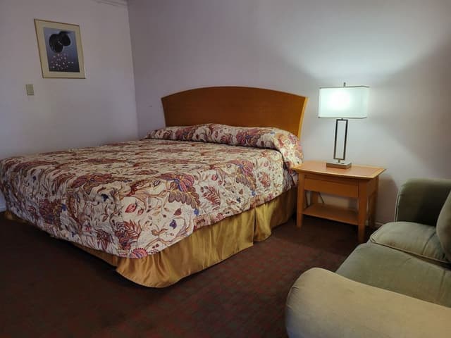 Room, 1 King Bed