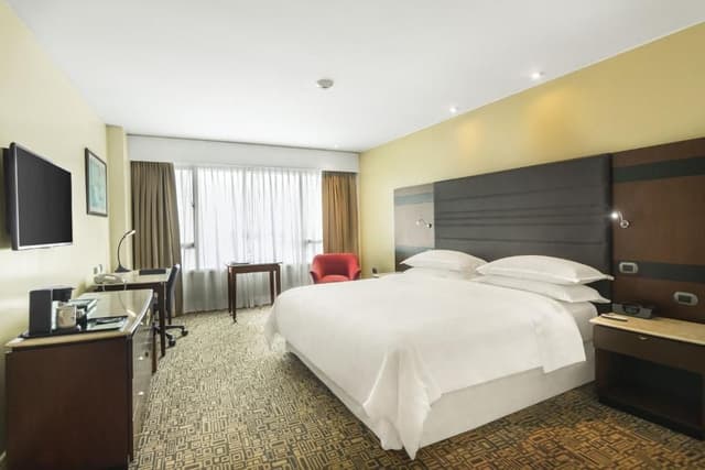 Club Level Guest Room 1 King City View