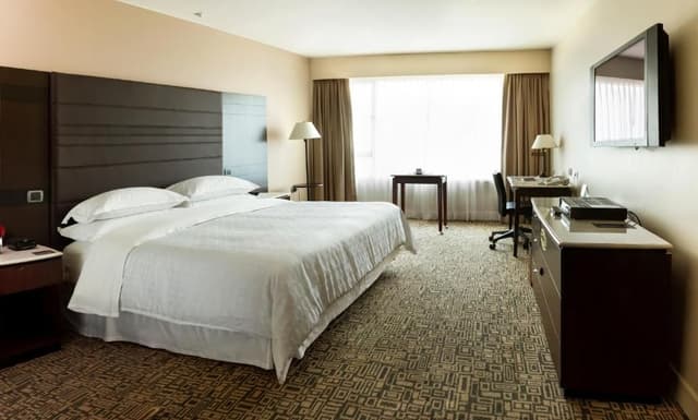 Club Level Guest Room 1 King City View