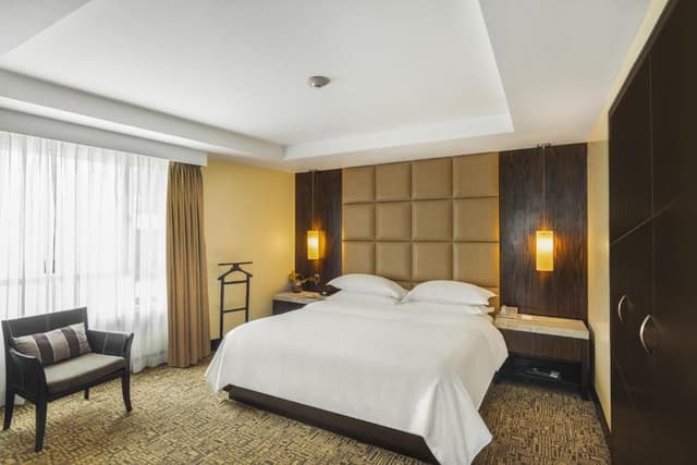 Junior Suite 1 King City View