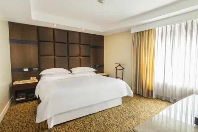 Junior Suite 1 King City View