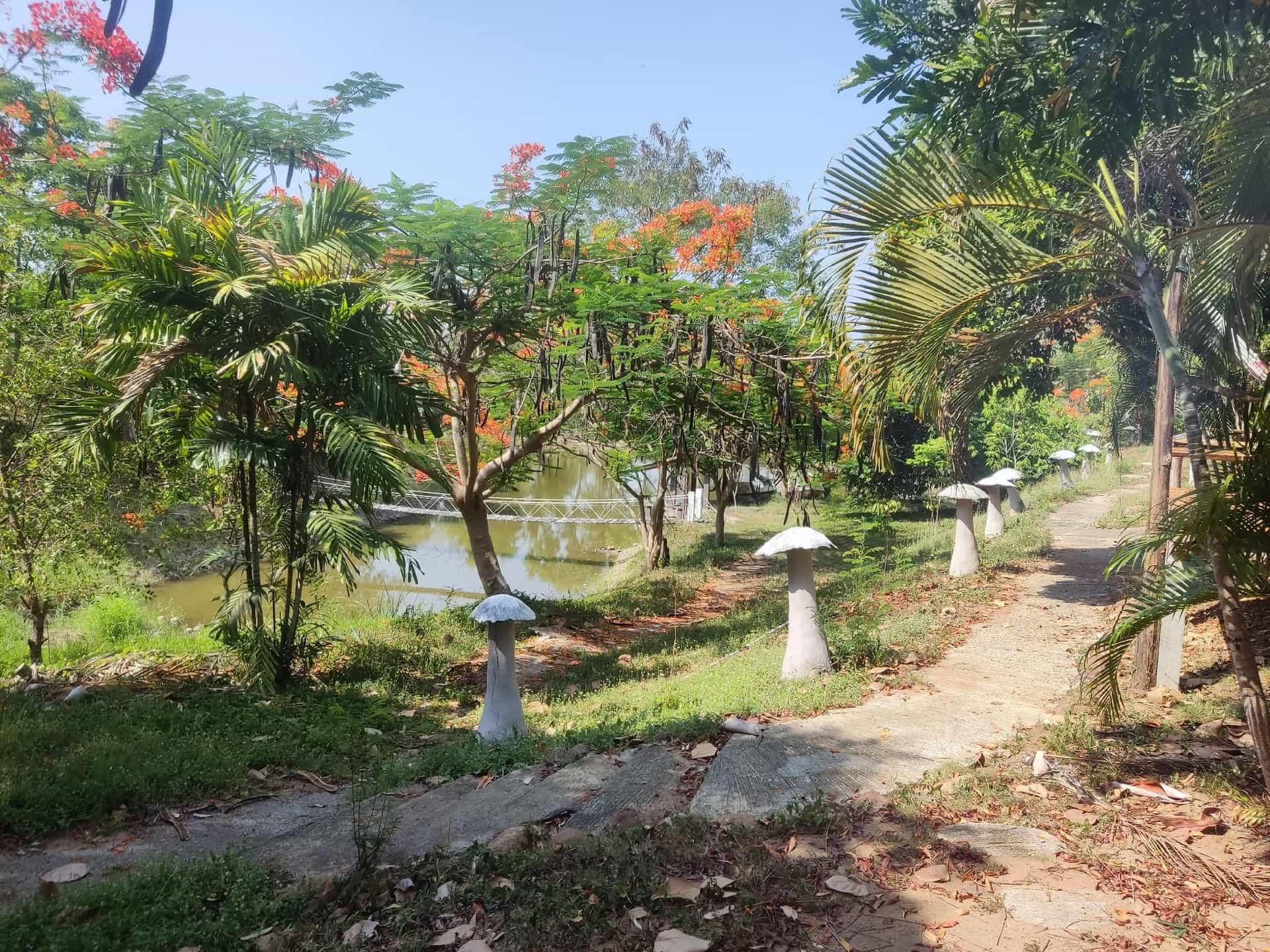 บ้านไร่พรสวรรค์