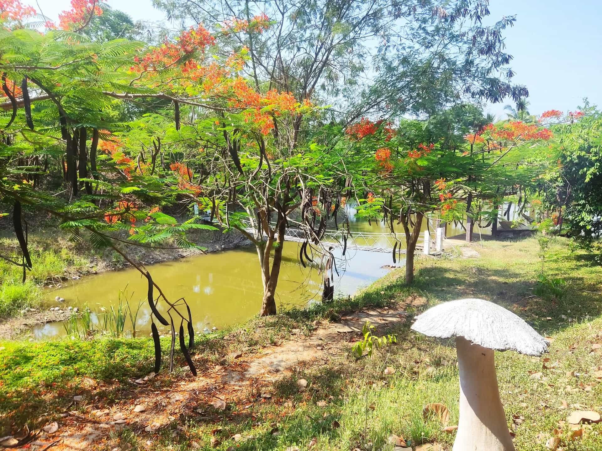 บ้านไร่พรสวรรค์ บ้านไร่พรสวรรค์