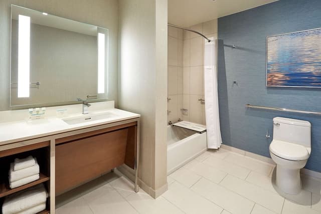 Studio, 1 King Bed with Sofa bed, Bathtub