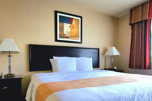 Standard Room, 1 King Bed, Non Smoking