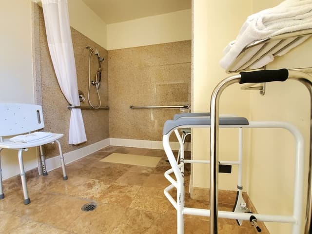 Standard Room, 1 King Bed, Accessible Roll-In Shower, Non Smoking