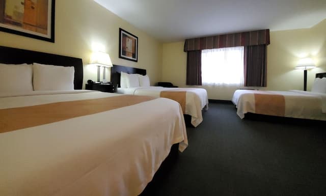 Room, Multiple Beds, Non Smoking