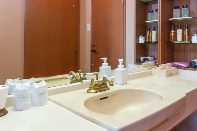 Basic Twin Room