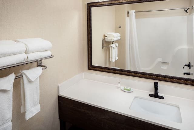 Premium Suite