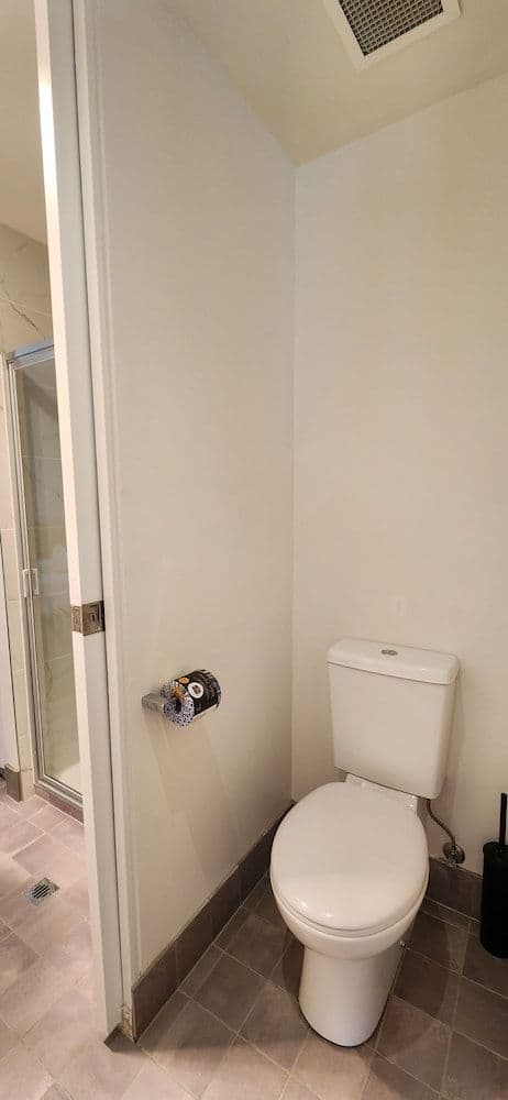 Deluxe Three-Bedroom Apartment