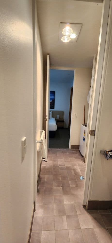 Deluxe Three-Bedroom Apartment