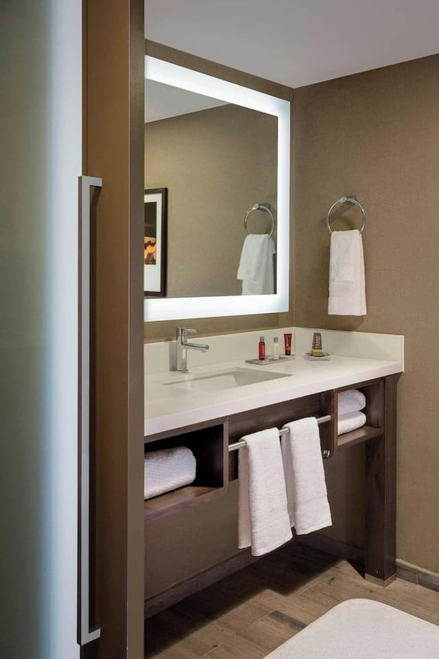 Room, 1 King Bed