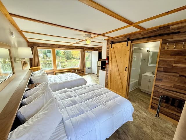 Double Room, 2 Queen Beds, Refrigerator & Microwave, Park View