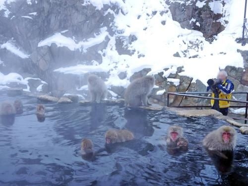 คิโดอิเกะ ออนเซ็น โฮเต็ล (Kidoike Onsen Hotel)3