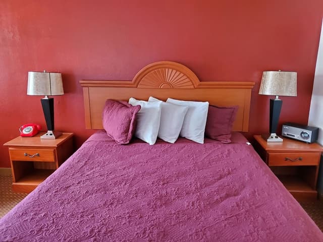 Standard Room, 1 King Bed, Non Smoking
