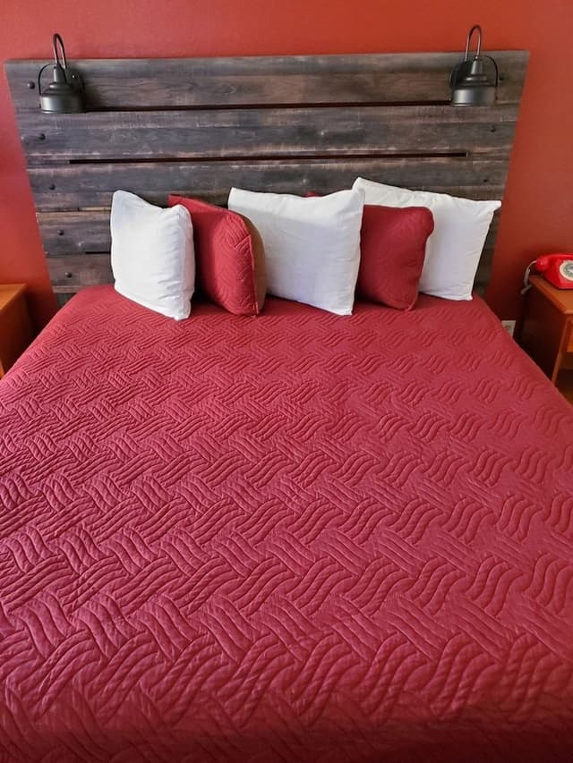 Standard Room, 1 King Bed, Non Smoking