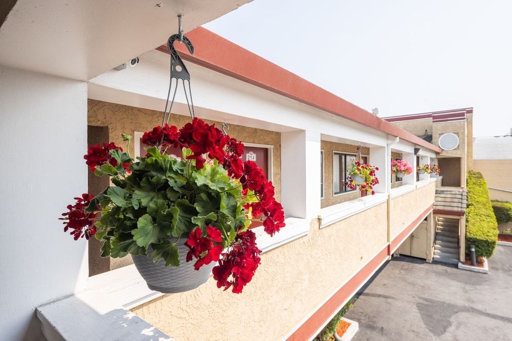 Americana Inn Motel0