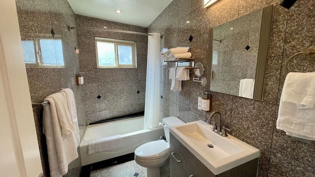 Premier Studio, 1 King Bed with Sofa bed, Non Smoking, Kitchen
