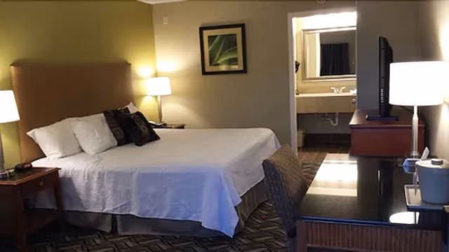 Standard Room, 1 King Bed