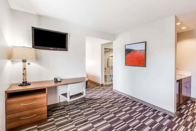 Studio Suite, 1 Queen Bed, Non Smoking