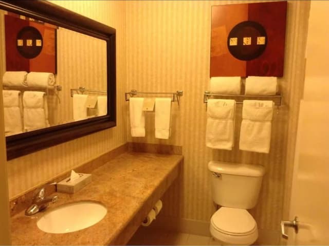 Suite, 1 King Bed with Sofa bed