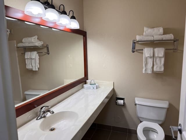 Deluxe Suite, 1 King Bed, Non Smoking