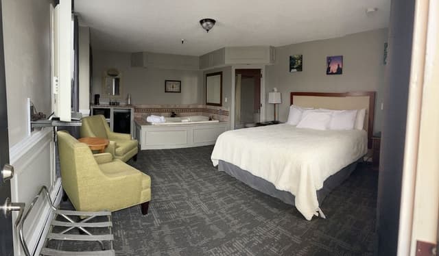 Luxury Studio Suite, 1 King Bed, Non Smoking, Pets Not Allowed
