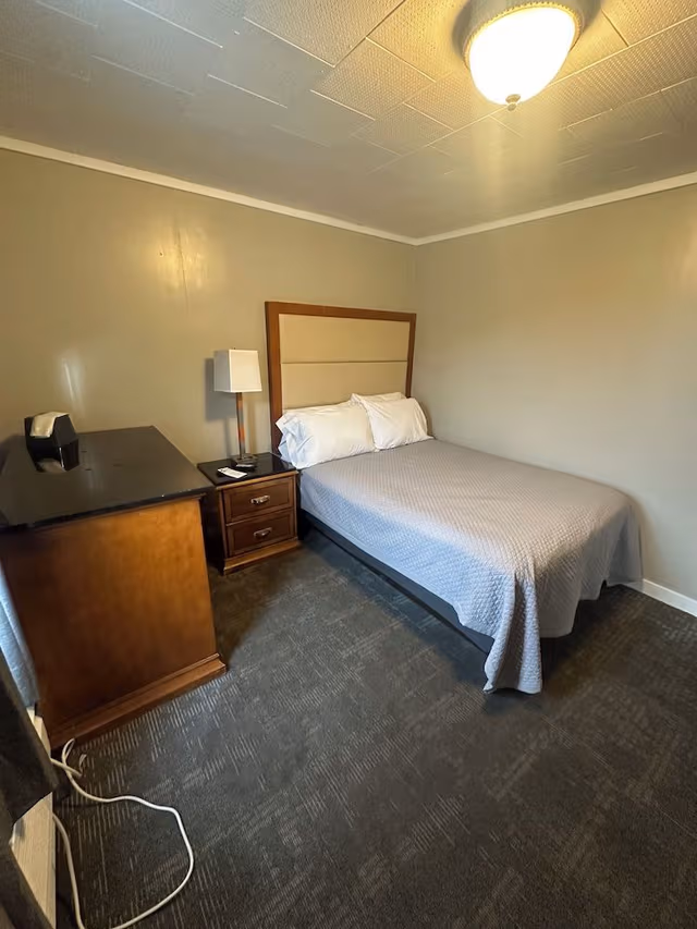 ADA Access Room 1 XL Full Dog Friendly