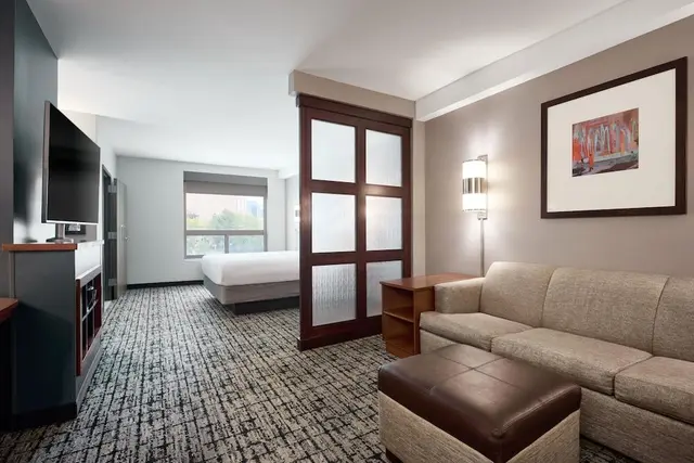 Room, 1 King Bed, Accessible, Bathtub