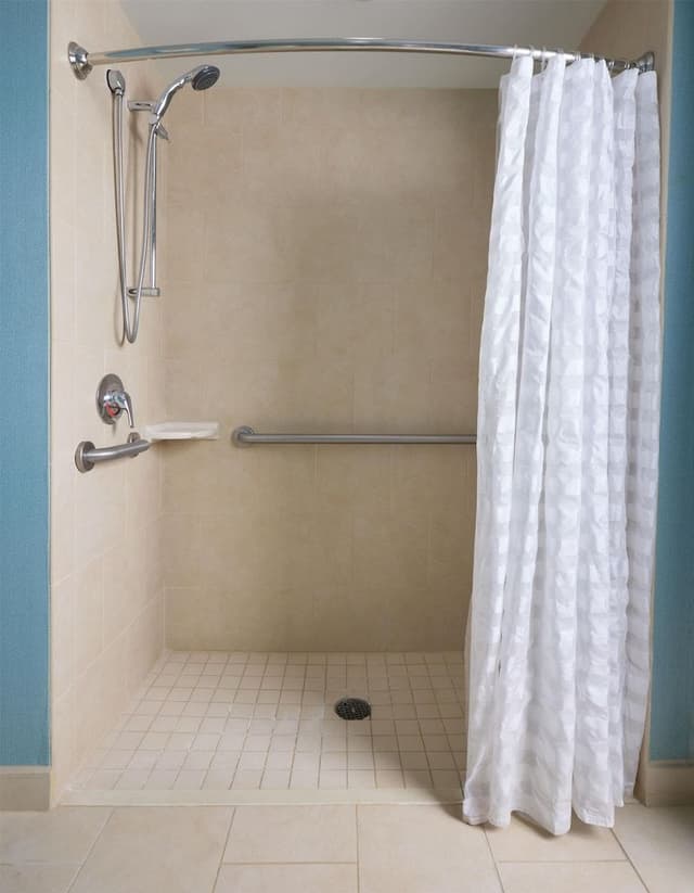 Room (2 Queen Bed, SofaBed, Roll-In Shower)
