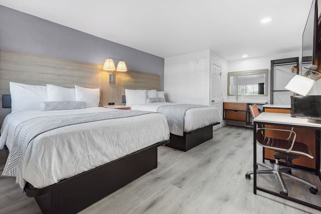 Standard Double Room