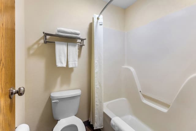 Room, 1 King Bed, Non Smoking