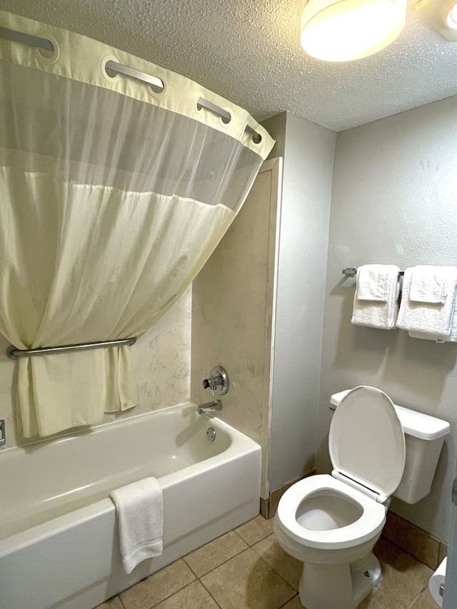 Standard Room, 1 King Bed, Non Smoking