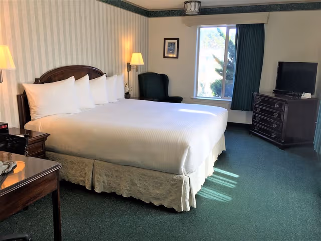 Comfort Suite, 1 King Bed (No Pets)