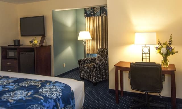 Superior Room, 1 King Bed with Sofa bed