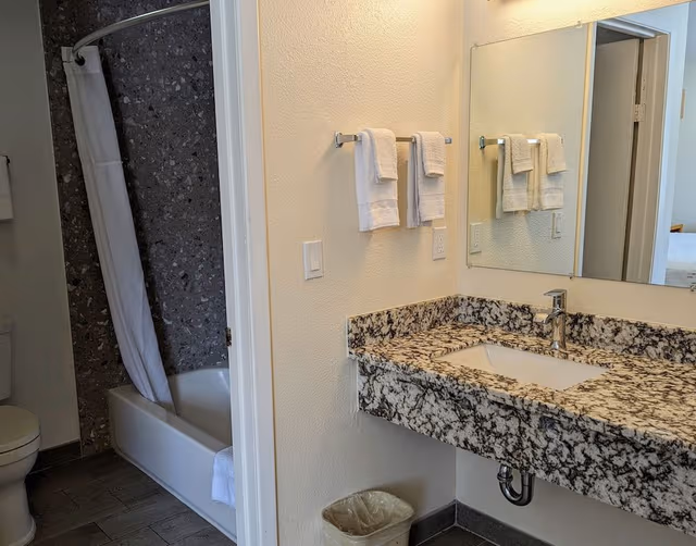 Suite with 1 King bed - Non Smoking
