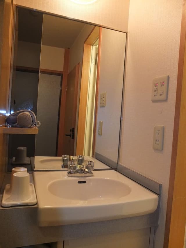 Superior Japanese Style Room (Room Only)