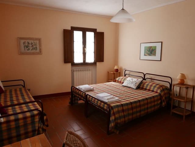 Basic Double or Twin Room