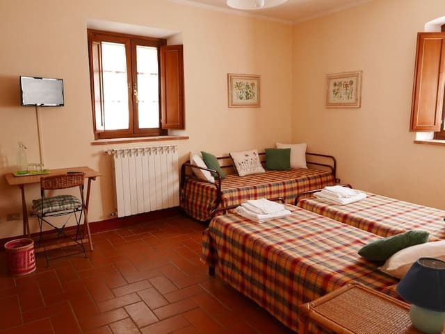 Basic Double or Twin Room