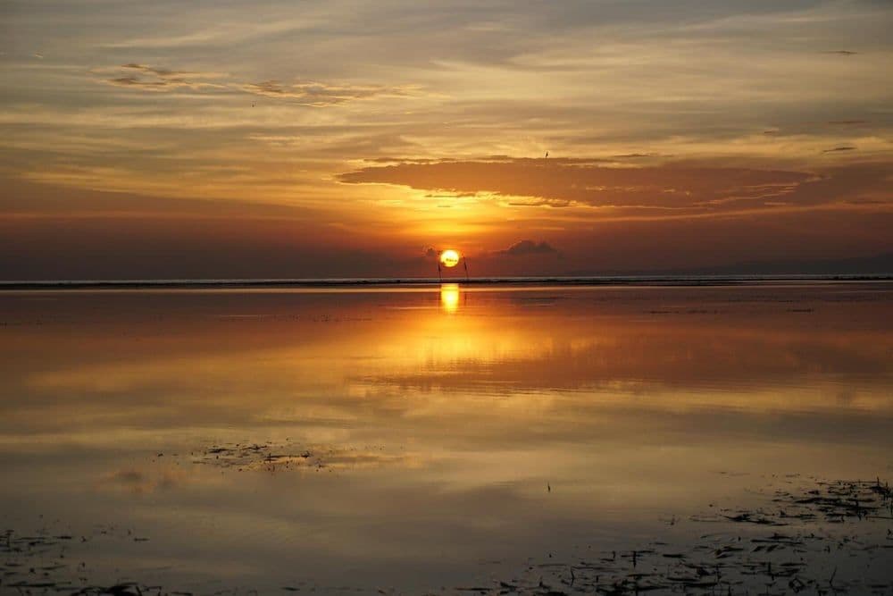 Praschita Bali Praschita Bali