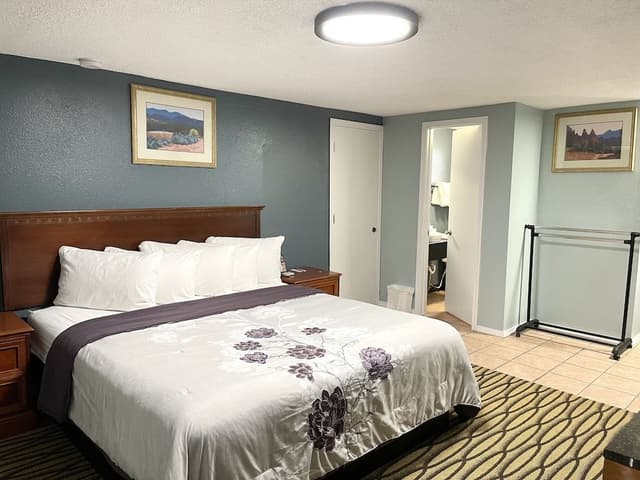 Standard Room, 1 King Bed