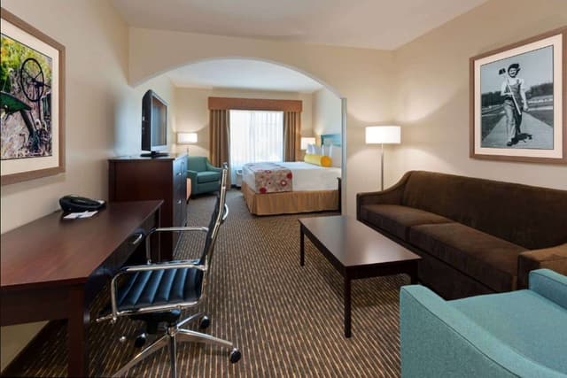 Suite, 1 King Bed, Non Smoking, Refrigerator & Microwave (with Sofabed)