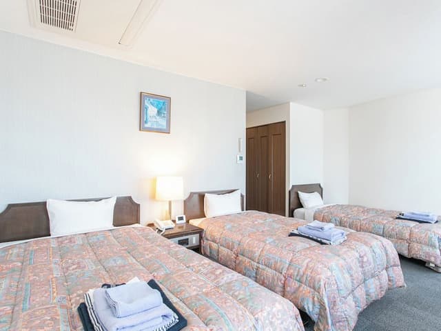 Deluxe Twin Room, Non Smoking