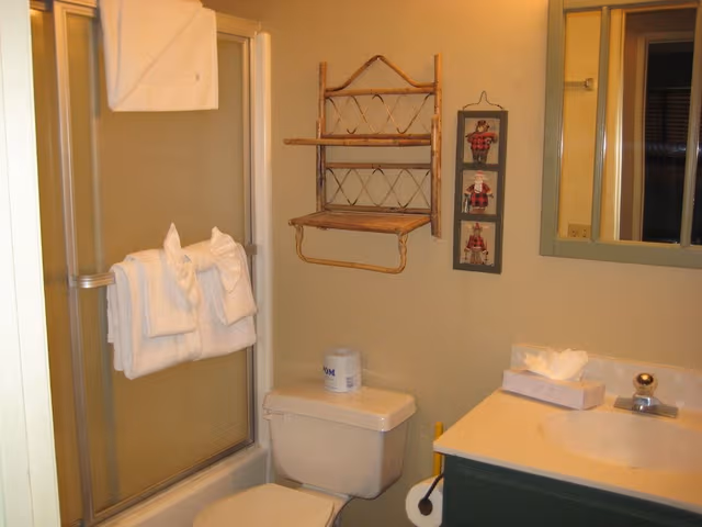 Premier Condo, 2 Bedrooms, Mountain View