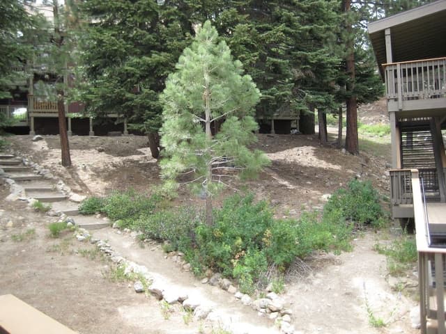 Premier Condo, 2 Bedrooms, Mountain View