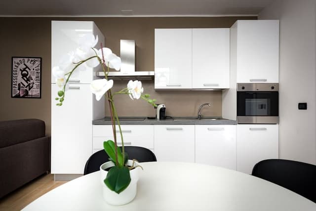 Comfort Apartment, 1 Bedroom, Terrace