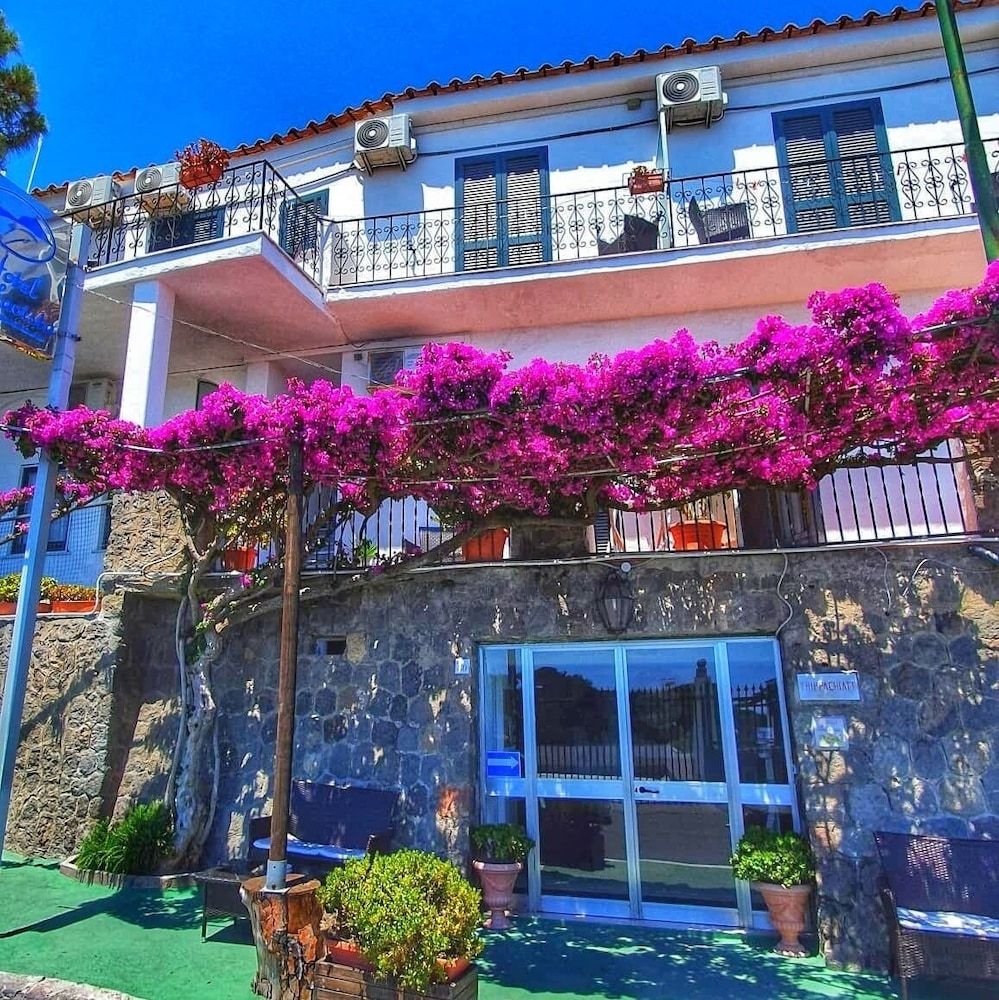 Hotel Bellavista0